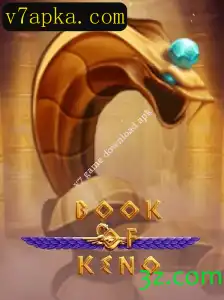 BookOfKeno: Descubra o Jogo e Como Jogar